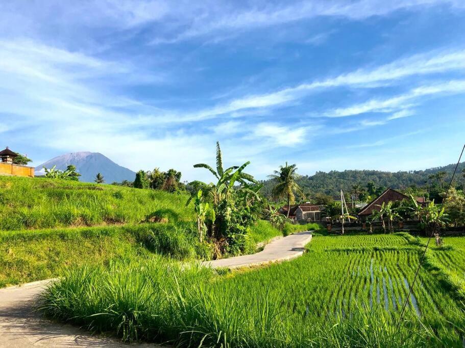 Desiderata - Asri Villa Karangasem